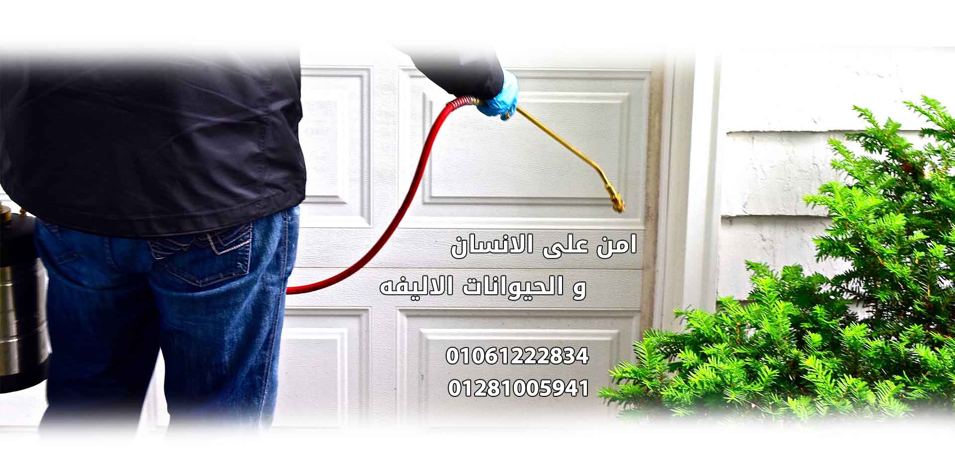 title_69090bf701f613187881071762200567